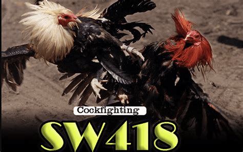 sw418 casino online|SW418 Sabong Philippines: Review of the Trusted Online Provider.